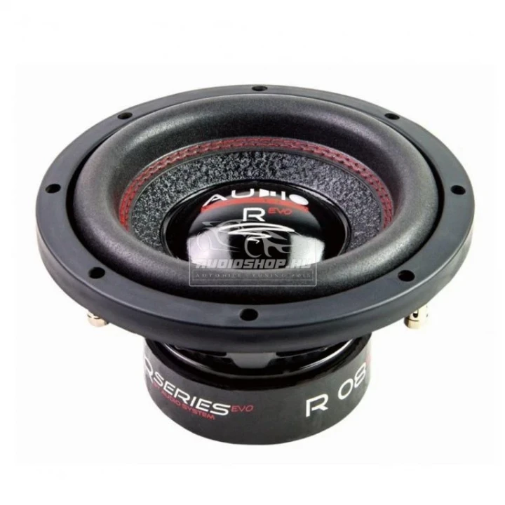 Audio system R12 EVO 300mm-es mélynyomó