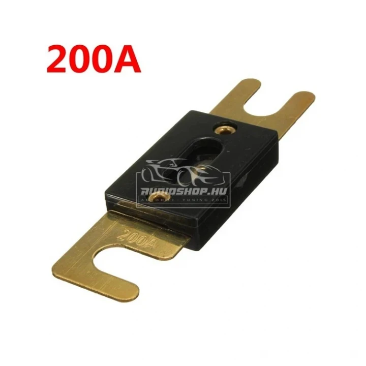 200 Amper ANL biztosíték