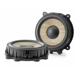 Focal IW T3Y 200 20cm-es Tesla Specifikus Hangszóró