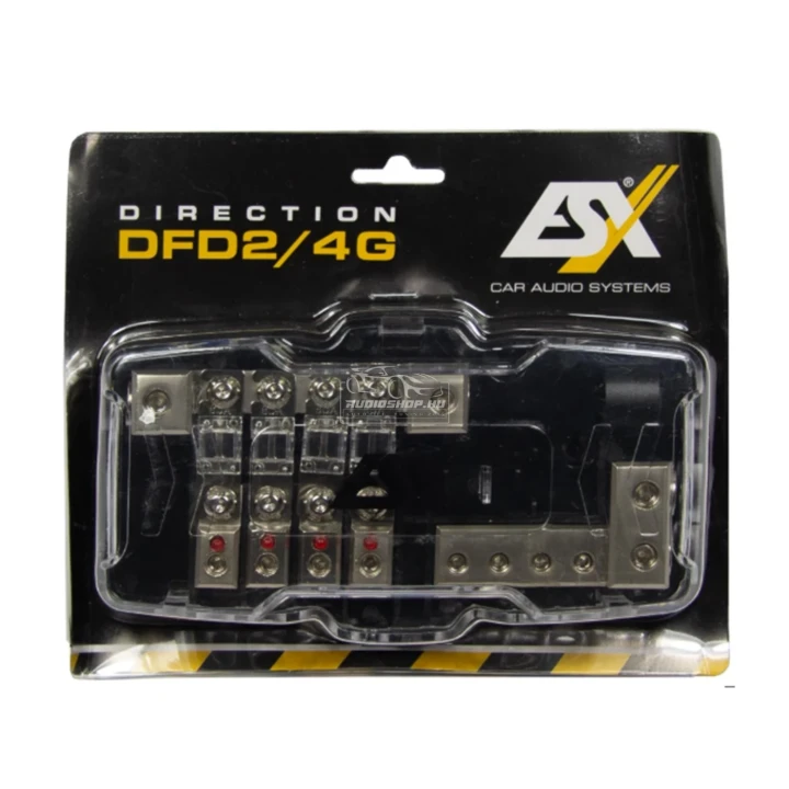 ESX DFD2/4G