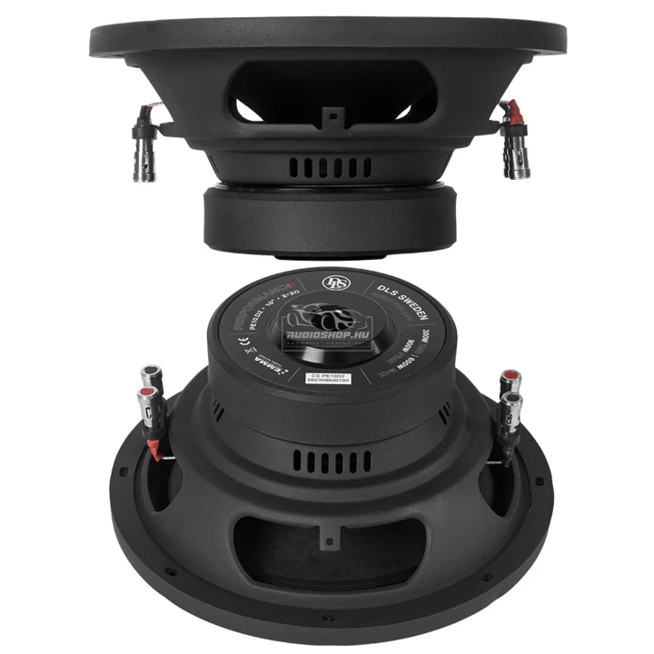 DLS PE10.D2 25 cm-es subwoofer