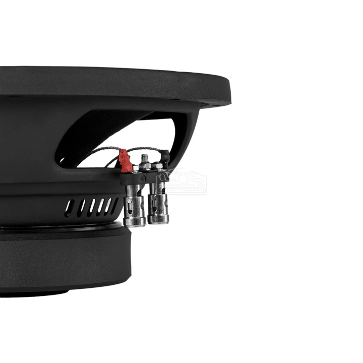 DLS PE10.D2 25 cm-es subwoofer