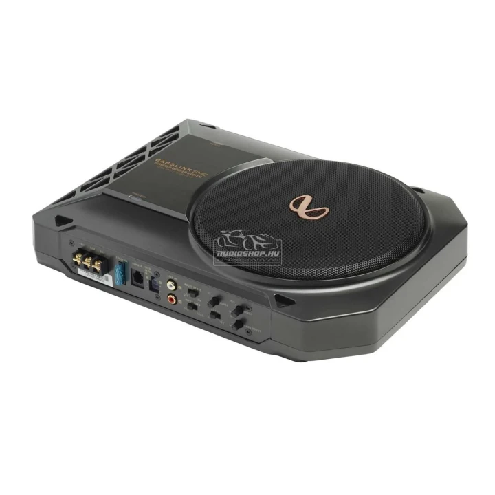 Infinity BassLink SM2