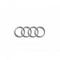 Audi képe