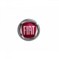 Fiat képe