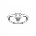 Daewoo képe